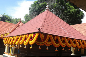 untitled design (14)