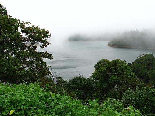 Kakki Reservoir, Pathanamthitta