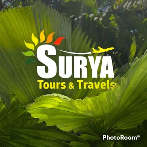 Surya Tours & Travels